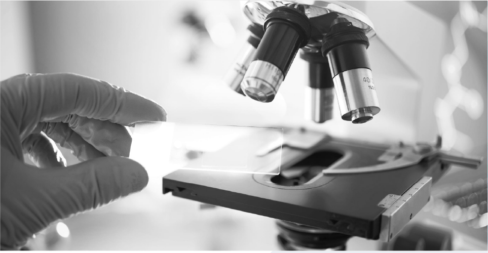 Optimizing Working Capital: An Order-To-Cash transformation for a leading life sciences major.